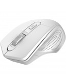 CANYON 2.4GHz Wireless Optical Mouse with 4