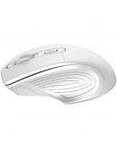 CANYON 2.4GHz Wireless Optical Mouse with 4