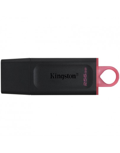KINGSTON 256GB USB3.2 Gen1 DataTraveler Exodia