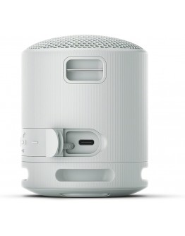 Sony SRS-XB100 Portable Bluetooth Speaker, Light G