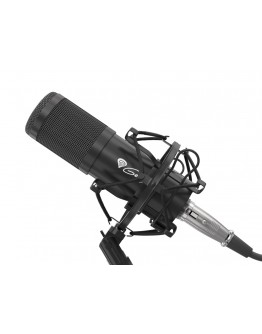 Genesis Microphone Radium 300 Studio XLR ARM Popfi