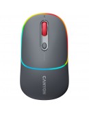 CANYON mouse MW-22 2in1 BT/ Wireless Dark