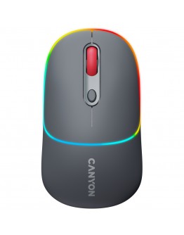 CANYON mouse MW-22 2in1 BT/ Wireless Dark