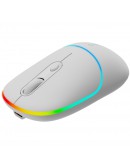 CANYON mouse MW-22 2in1 BT/ Wireless Snow