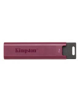 1TB USB3.2 DTMAXA KINGSTON