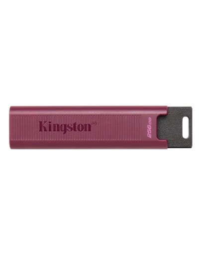 256GB USB3.2 DTMAXA KINGSTON