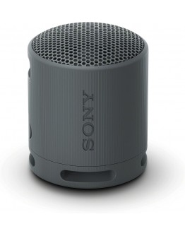 Sony SRS-XB100 Portable Bluetooth Speaker, black