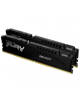 2X1G DDR5 5600 KING FURY BEAST