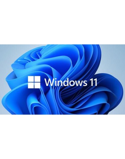 WIN 11 HOME 64BIT ENG DSP DVD