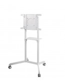 Neomounts Mobile Flat Screen Floor Stand (height: 