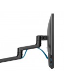 Neomounts Screen Desk Mount (clamp+grommet)