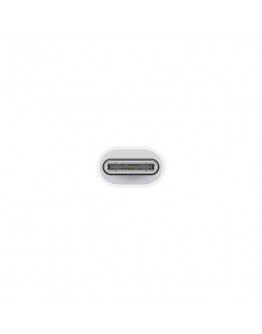 Apple USB-C to Lightning Adapter
