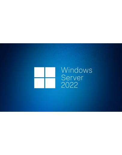 Windows Svr Std 2022 64Bit English 1pk DSP OEI DVD