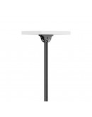 Neomounts Flat Screen Ceiling Mount (Height: 250-3