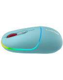 CANYON mouse MW-22 Dual Band RGB Wireless Dark