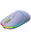 CANYON mouse MW-22 2in1 BT/ Wireless