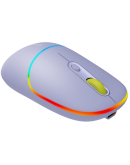 CANYON mouse MW-22 2in1 BT/ Wireless