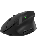 CANYON mouse MW-25 Ergonomic LED AA Dual mode