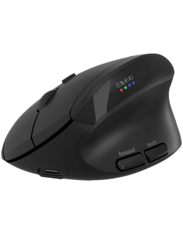 CANYON mouse MW-25 Ergonomic LED AA Dual mode