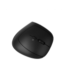 CANYON mouse MW-25 Ergonomic LED AA Dual mode