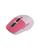 CANYON mouse MW-26 LCD Silent Dual Mode Wireless