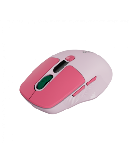 CANYON mouse MW-26 LCD Silent Dual Mode Wireless
