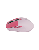 CANYON mouse MW-26 LCD Silent Dual Mode Wireless