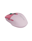 CANYON mouse MW-26 LCD Silent Dual Mode Wireless