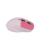 CANYON mouse MW-26 LCD Silent Dual Mode Wireless