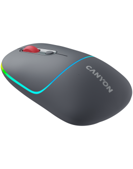 CANYON mouse MW-22 2in1 BT/ Wireless Dark