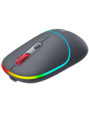 CANYON mouse MW-22 2in1 BT/ Wireless Dark