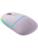 CANYON mouse MW-22 2in1 BT/ Wireless Pearl