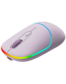 CANYON mouse MW-22 2in1 BT/ Wireless Pearl