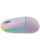 CANYON mouse MW-22 2in1 BT/ Wireless Pearl