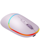 CANYON mouse MW-22 2in1 BT/ Wireless Pearl