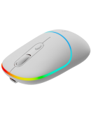 CANYON mouse MW-22 2in1 BT/ Wireless Snow