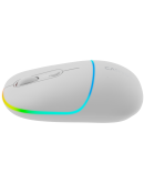 CANYON mouse MW-22 2in1 BT/ Wireless Snow
