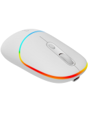 CANYON mouse MW-22 2in1 BT/ Wireless Snow