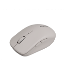 CANYON mouse MW-12 Dual band Wireless