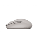 CANYON mouse MW-12 Dual band Wireless
