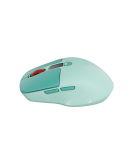 CANYON mouse MW-26 LCD Silent Dual Mode Wireless