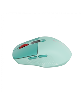 CANYON mouse MW-26 LCD Silent Dual Mode Wireless