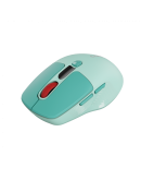 CANYON mouse MW-26 LCD Silent Dual Mode Wireless