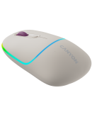 CANYON mouse MW-22 2in1 BT/ Wireless