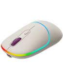 CANYON mouse MW-22 2in1 BT/ Wireless