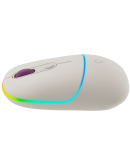 CANYON mouse MW-22 2in1 BT/ Wireless