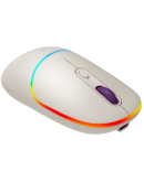 CANYON mouse MW-22 2in1 BT/ Wireless