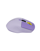 CANYON mouse MW-26 LCD Silent Dual Mode Wireless