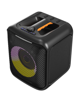 PA100 - F&D PA100 Portable Wireless Party