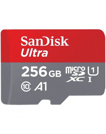 SanDisk Ultra microSDXC 256GB + SD Adapter